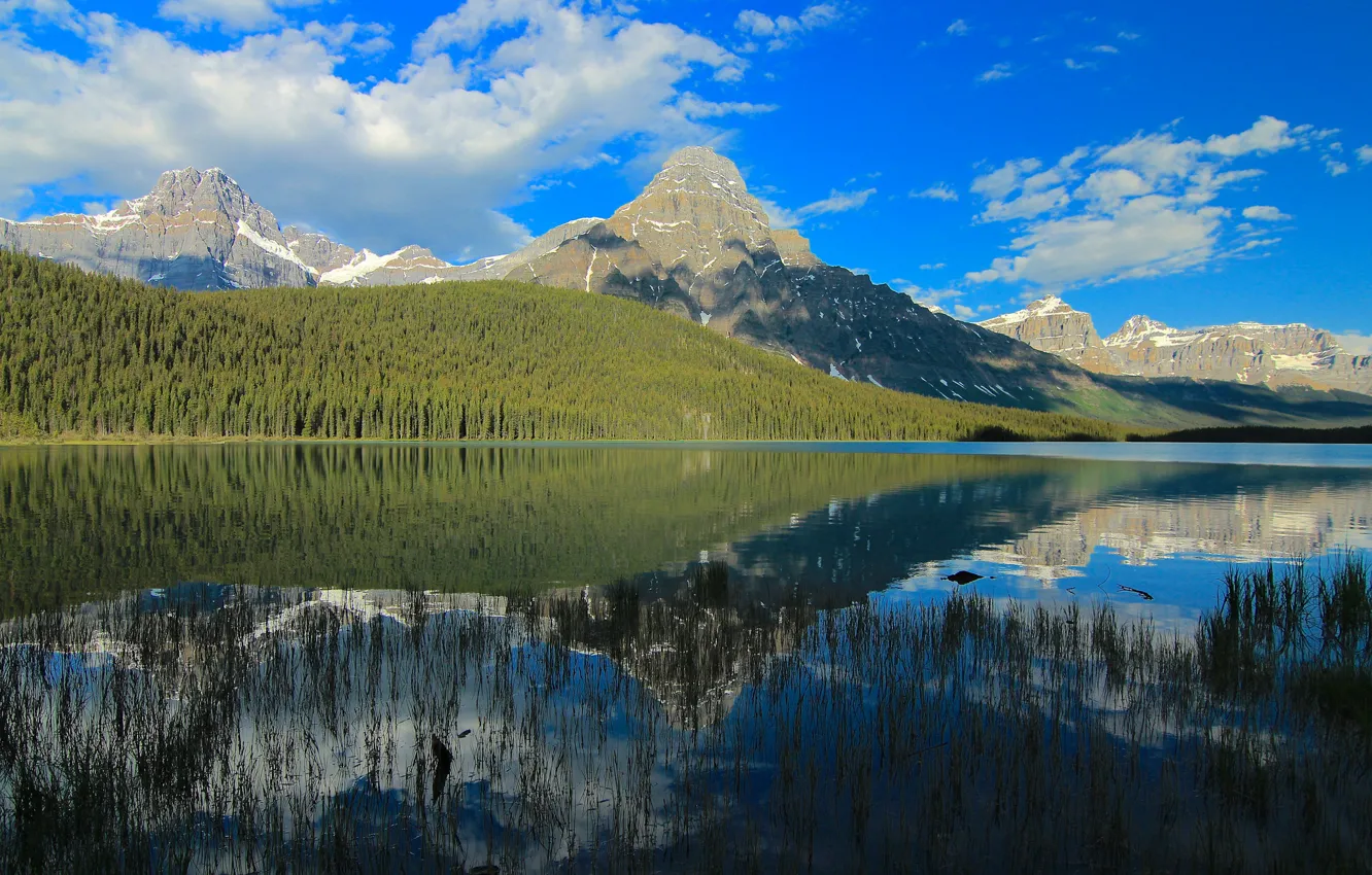 Photo wallpaper forest, the sky, clouds, mountains, lake, reflection