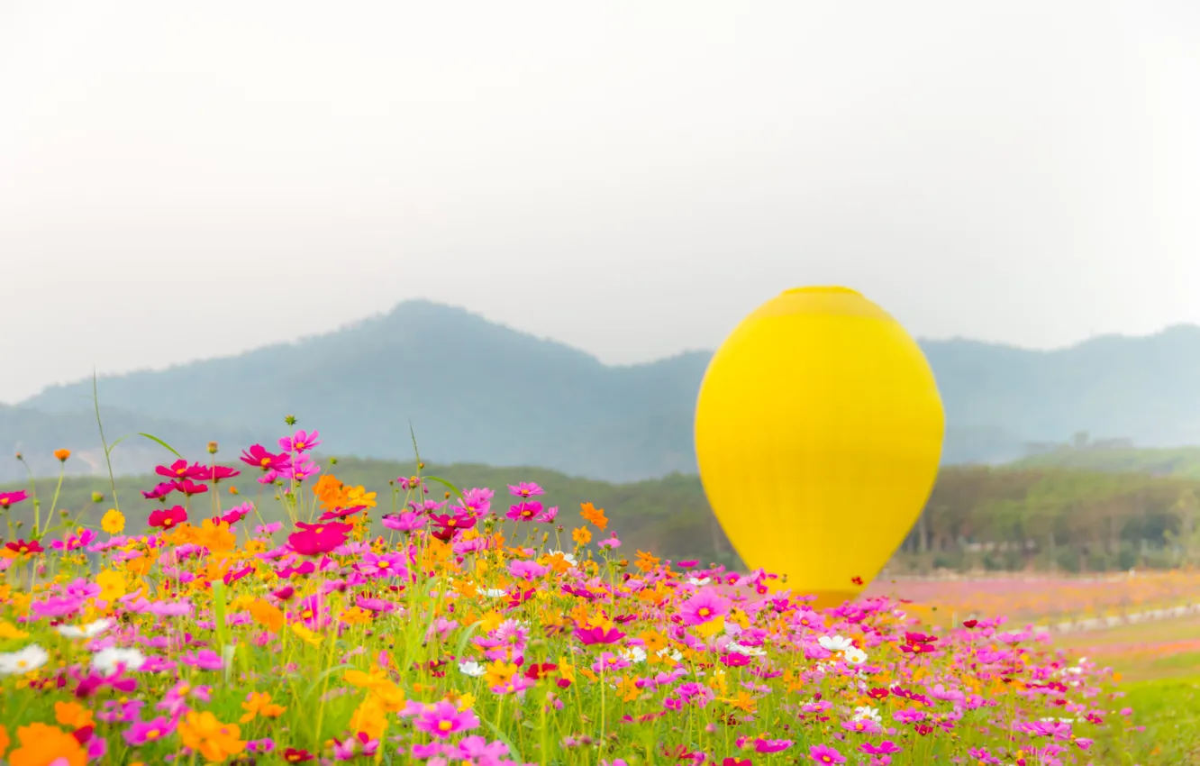 Photo wallpaper field, summer, the sky, the sun, flowers, balloon, colorful, meadow