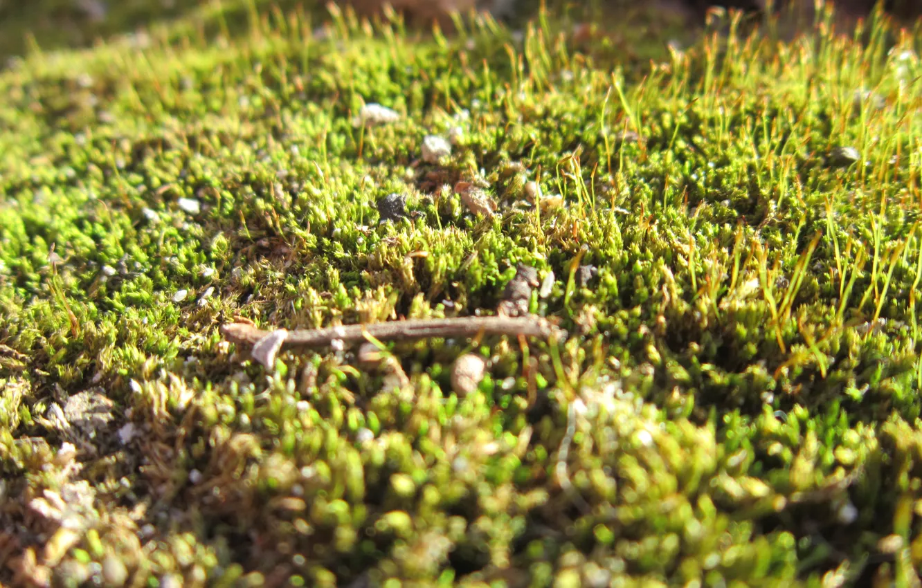 Photo wallpaper the world, secrets, amazing landscape