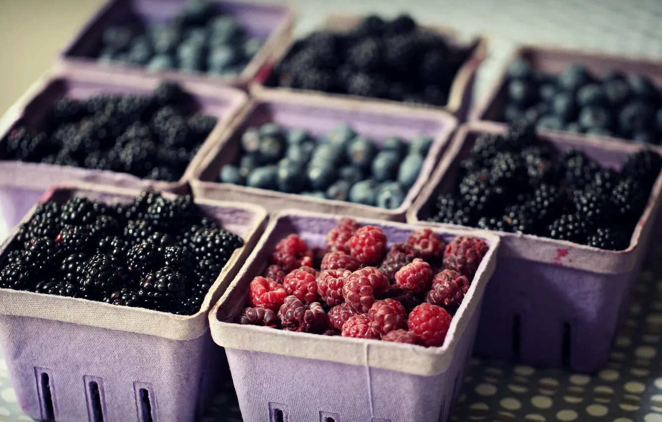 Photo wallpaper macro, berries, food