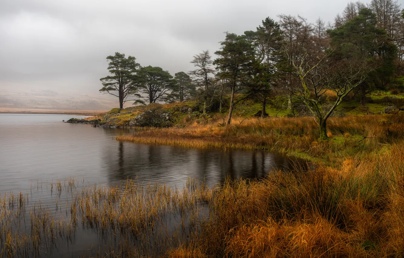 Photo wallpaper autumn, nature, shore
