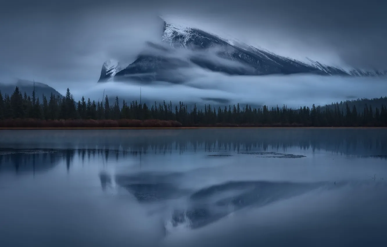 Photo wallpaper forest, fog, lake, river, mountain