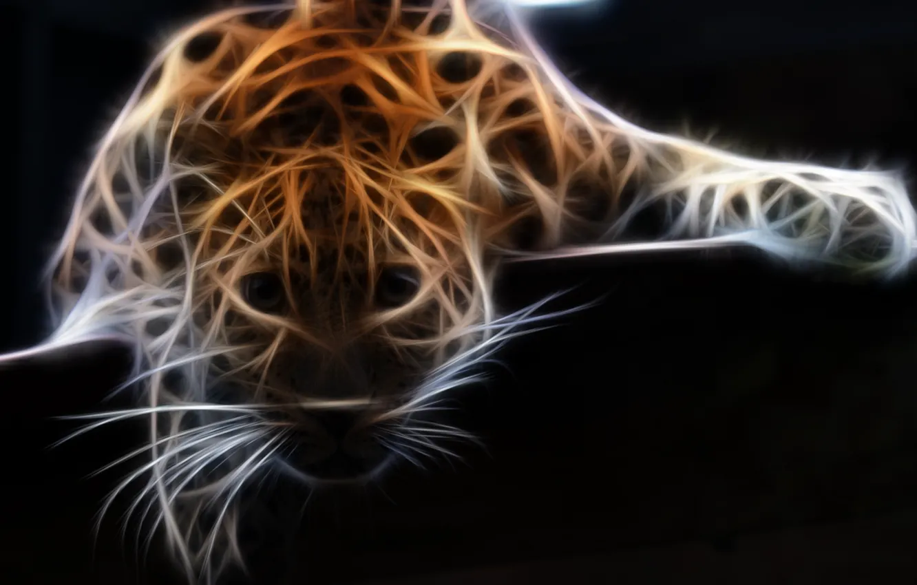 Photo wallpaper Photoshop, leopard, animal