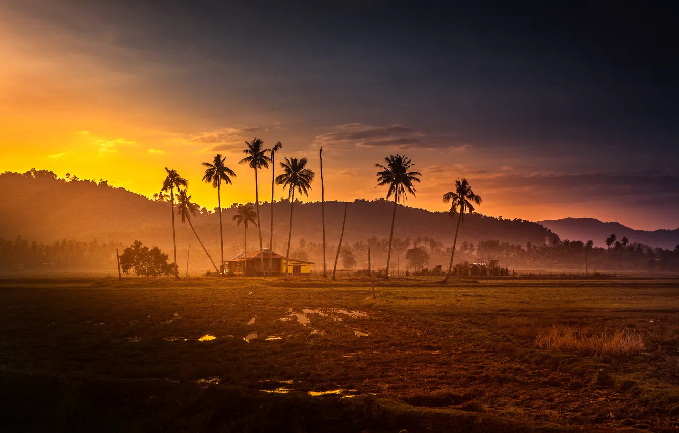 Photo wallpaper sunset, mountains, palm trees, jungle, hut, malaysia
