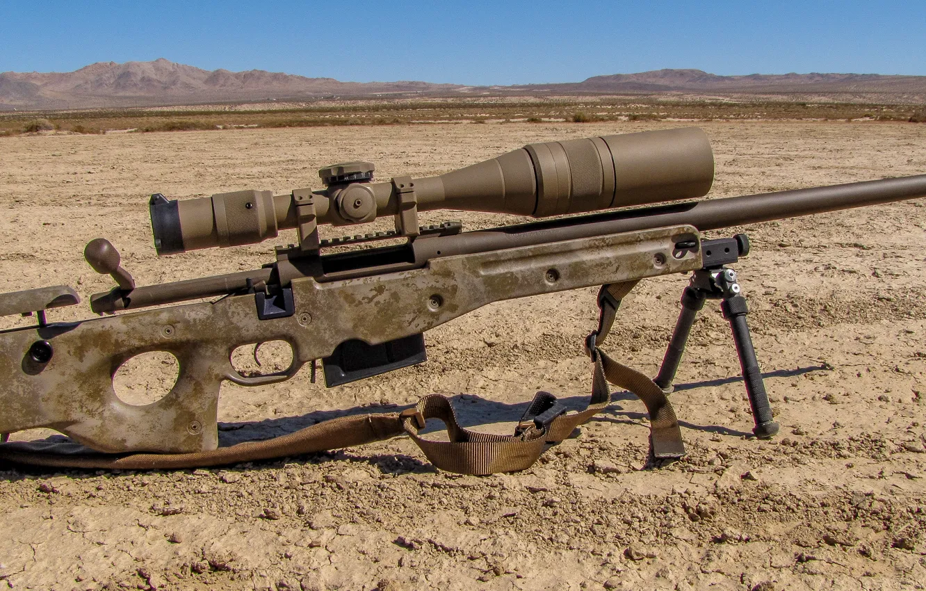 Photo wallpaper optics, rifle, sniper, fry, Remington 700