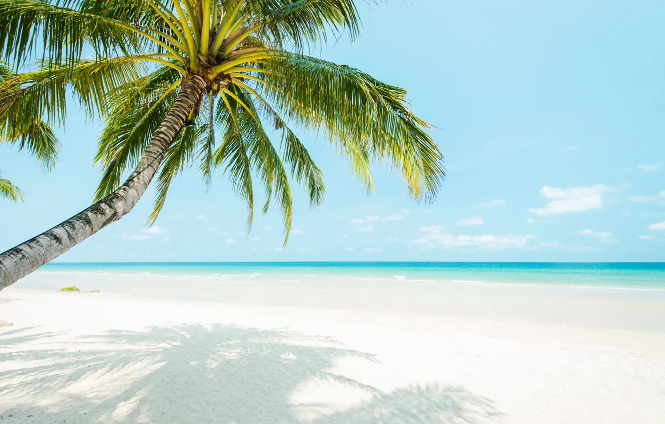 Photo wallpaper sand, sea, wave, beach, summer, the sun, palm trees, summer