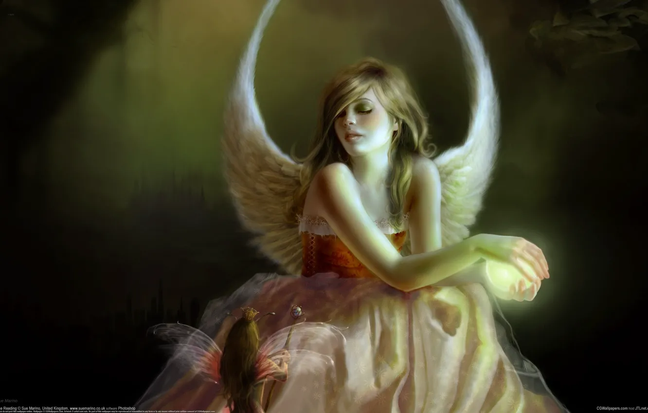 Photo wallpaper girl, magic, elf, wings, angel, Sue Marino