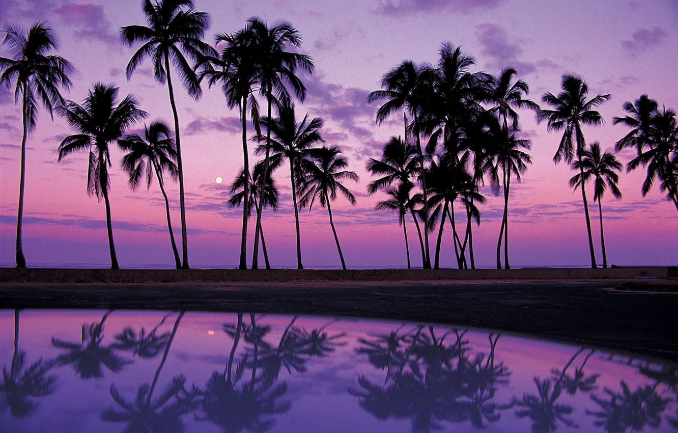 Photo wallpaper sand, water, sunset, reflection, palm trees, shadow, Africa, purple background
