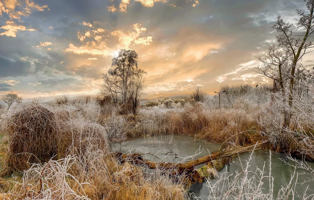 Photo wallpaper winter, frost, sunset