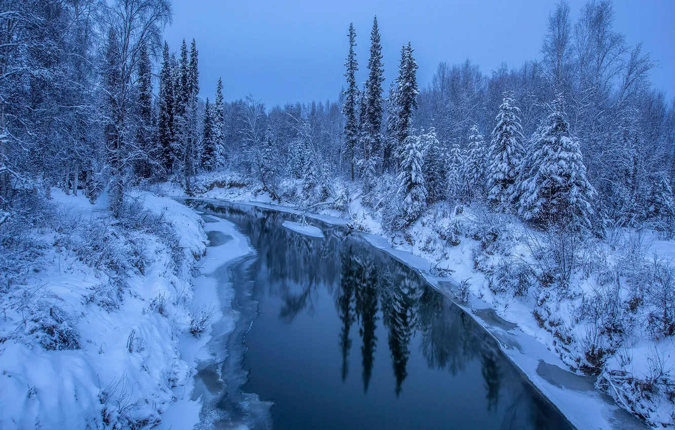 Photo wallpaper winter, forest, snow, trees, river, Alaska