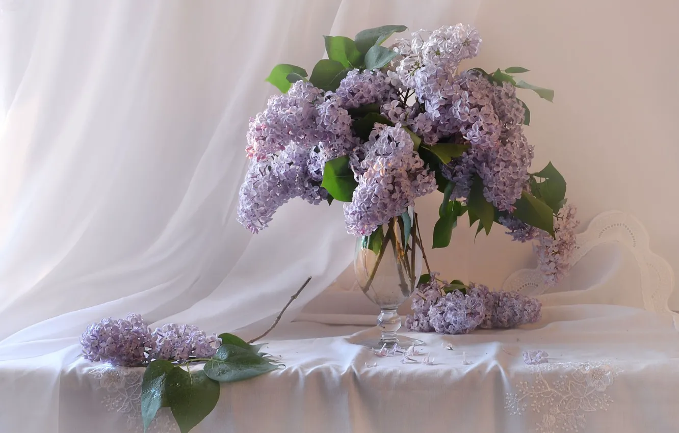 Photo wallpaper Vase, Lilac, Still life, Tablecloth