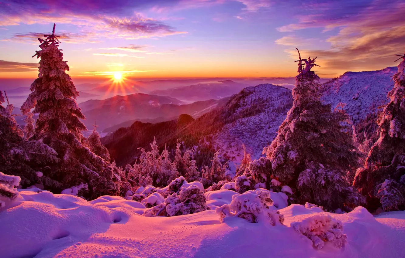 Photo wallpaper winter, forest, the sky, snow, trees, sunset, mountains, spruce