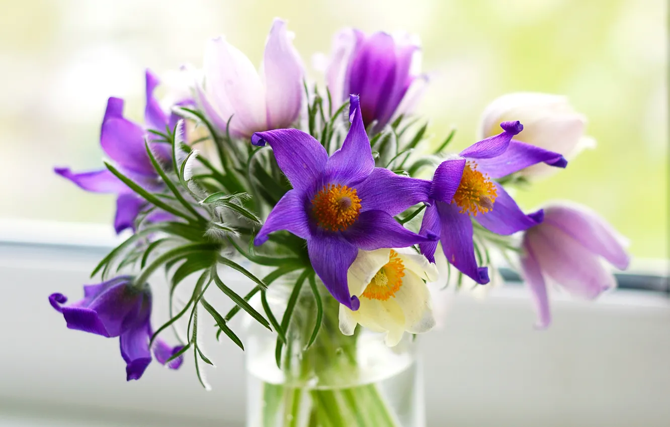 Photo wallpaper flowers, bouquet, purple, vase, pink, cross, Pulsatílla