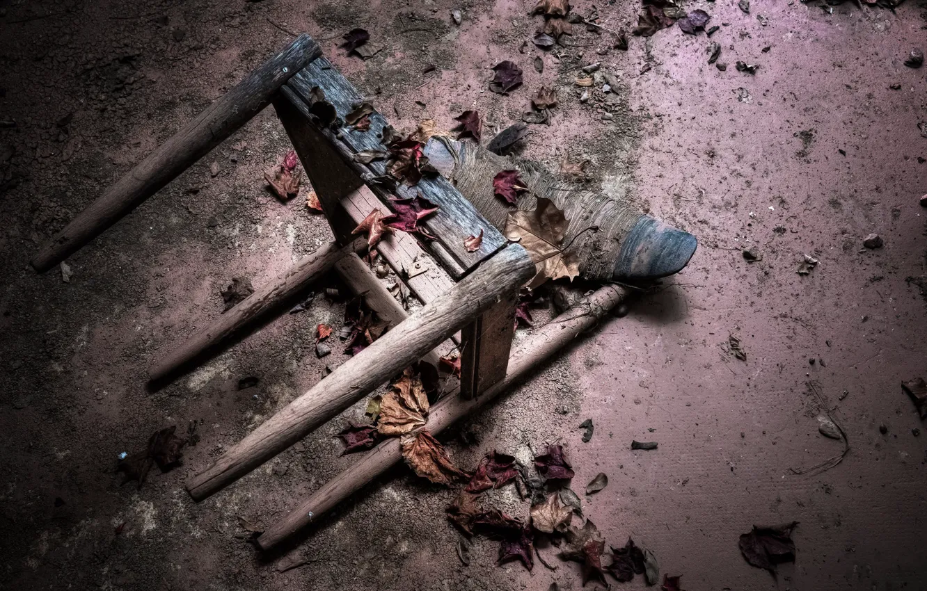 Photo wallpaper leaves, chair, naturalism