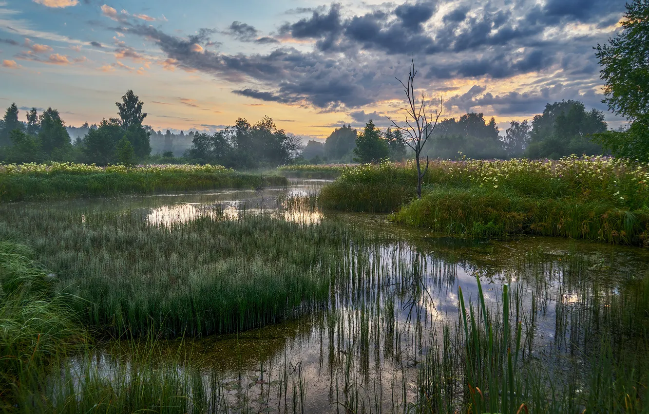Photo wallpaper summer, dawn, oxbow, The River Istra, Alexander Medvedev