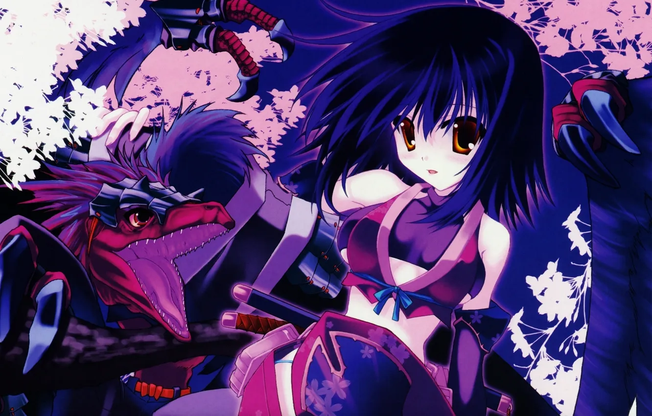 Photo wallpaper the sky, girl, flowers, night, dragon, anime, Sakura, art