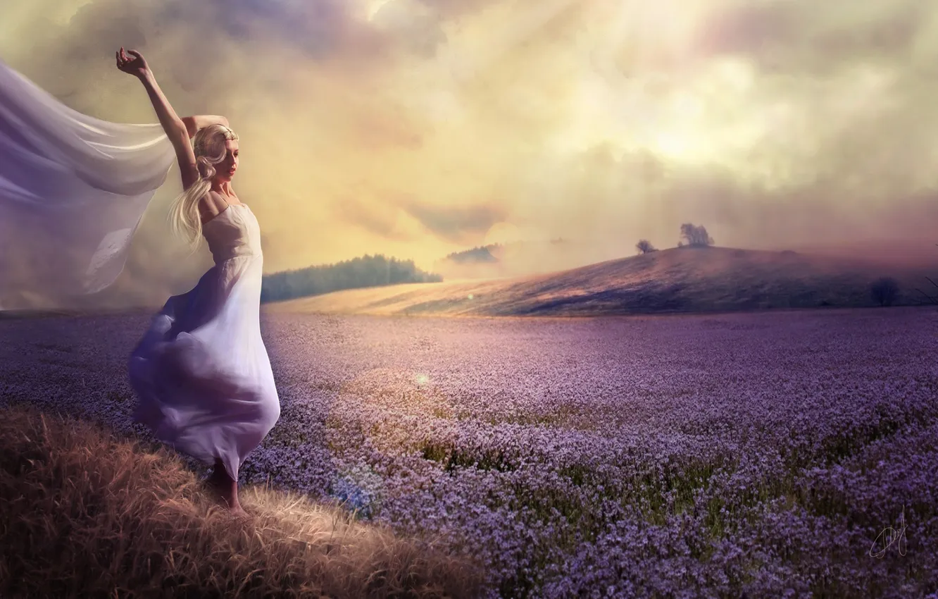 Photo wallpaper field, girl, the wind, blonde