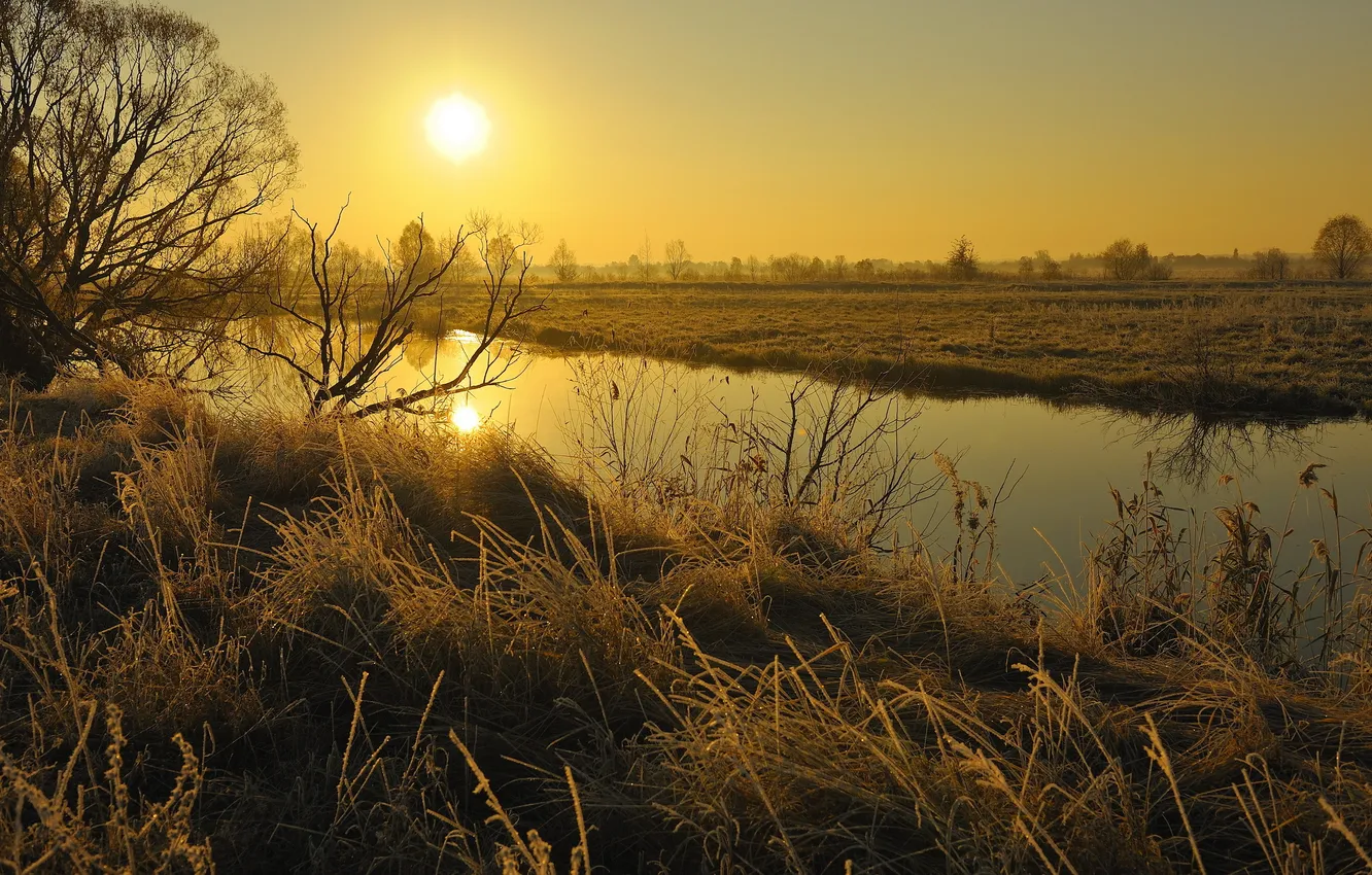 Photo wallpaper field, sunset, river