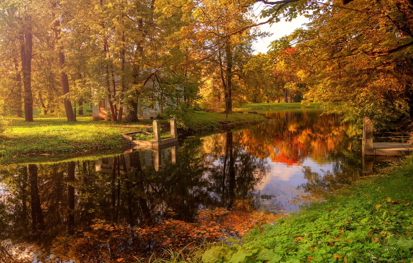 Photo wallpaper autumn, trees, nature, reflection, river, Eduard Gordeev
