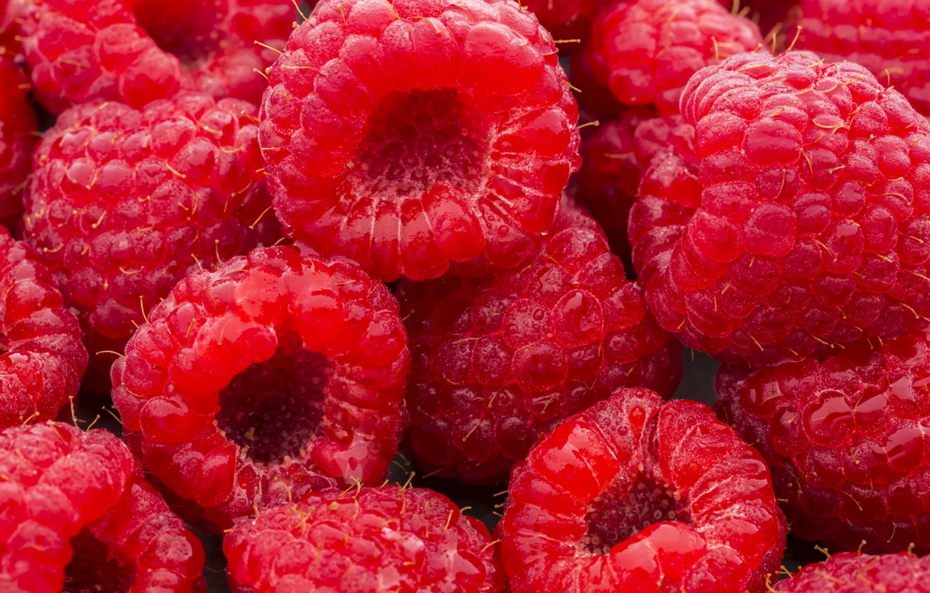 Photo wallpaper berries, raspberry, background, background, raspberry