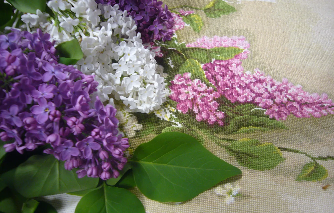 Photo wallpaper may, lilac, hobby, embrodery