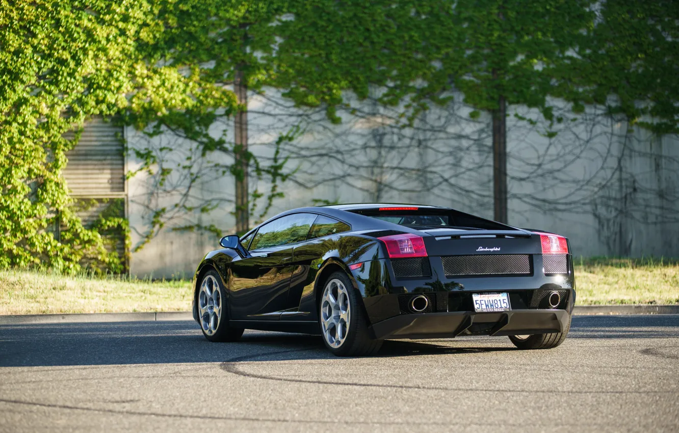 Photo wallpaper Lamborghini, Gallardo, Lamborghini Gallardo, rear view