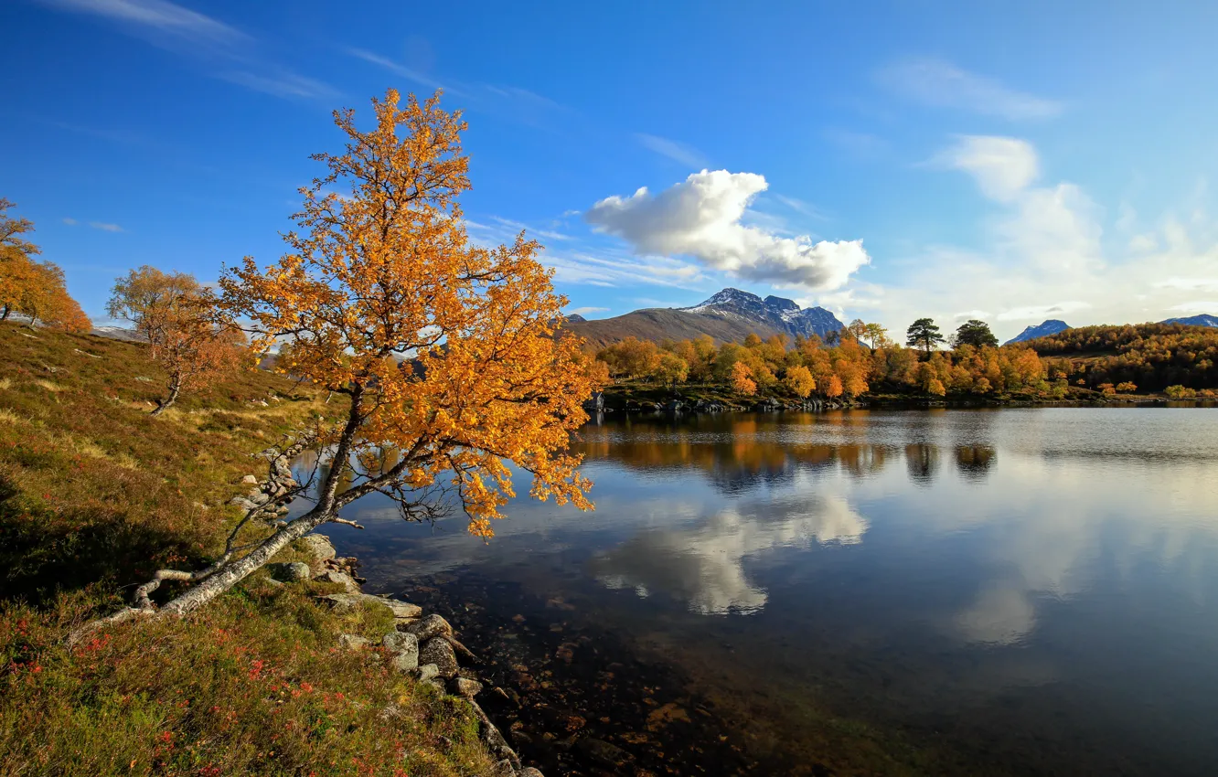 Photo wallpaper autumn, lake, Norway, October 2019