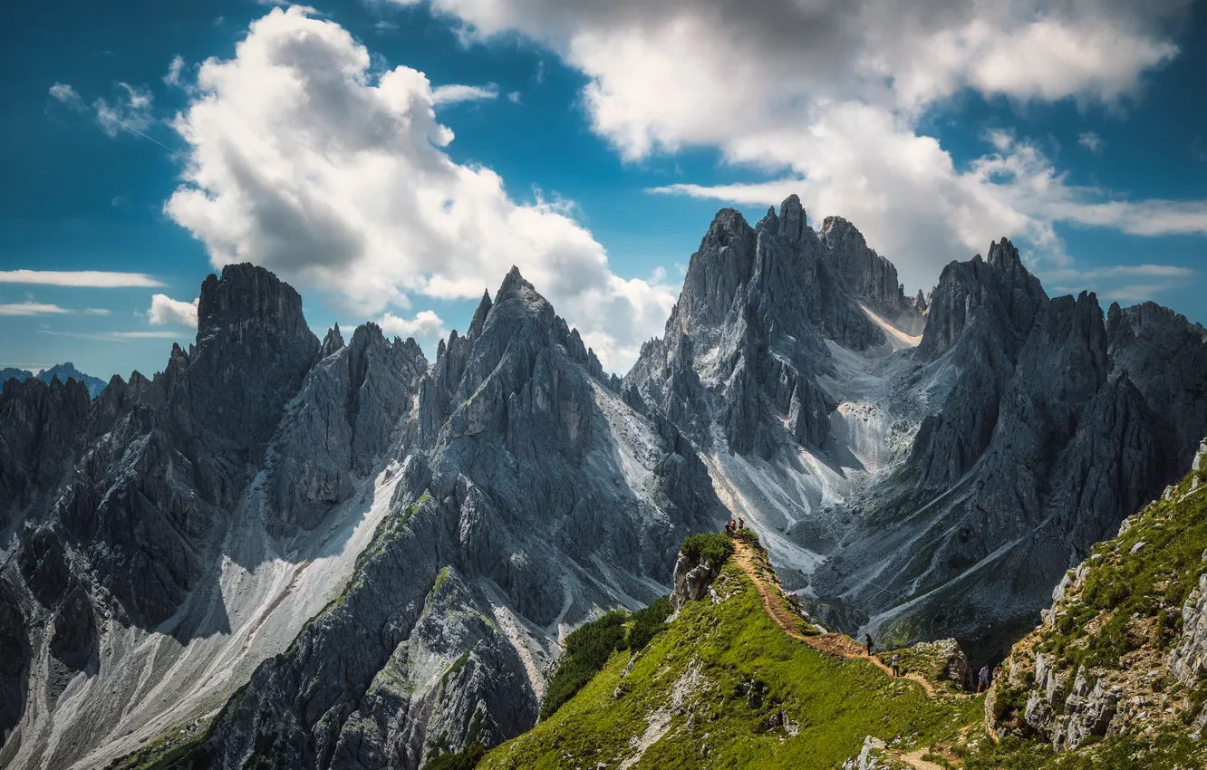 Photo wallpaper grass, mountain, trail