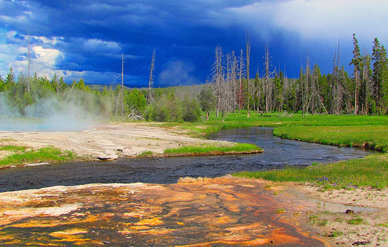 Photo wallpaper forest, the sky, trees, clouds, river, USA, geyser, Yellowstone national Park