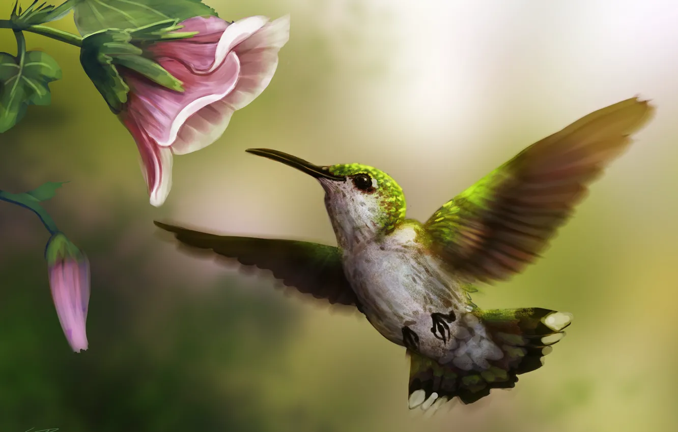 Photo wallpaper flowers, bird, Hummingbird, art, pink