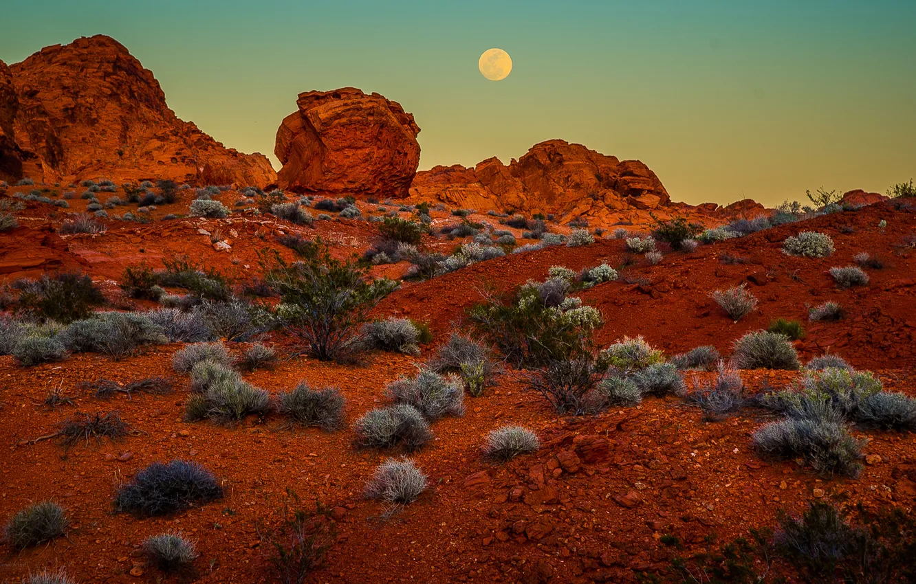 Photo wallpaper USA, Moon, Nature, Landscape, Nevada, Photo, Moonrise, Valley