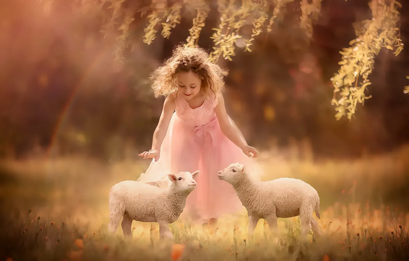 Photo wallpaper summer, girl, lambs
