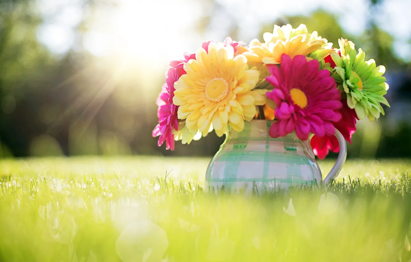 Photo wallpaper grass, the sun, light, flowers, nature, bouquet, spring, pitcher