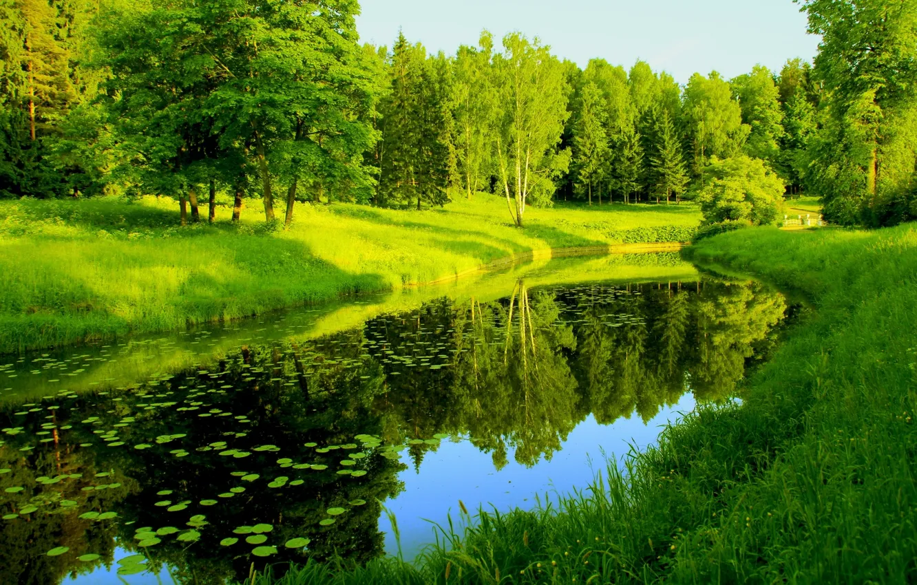 Photo wallpaper greens, reflection, trees, river, Nature