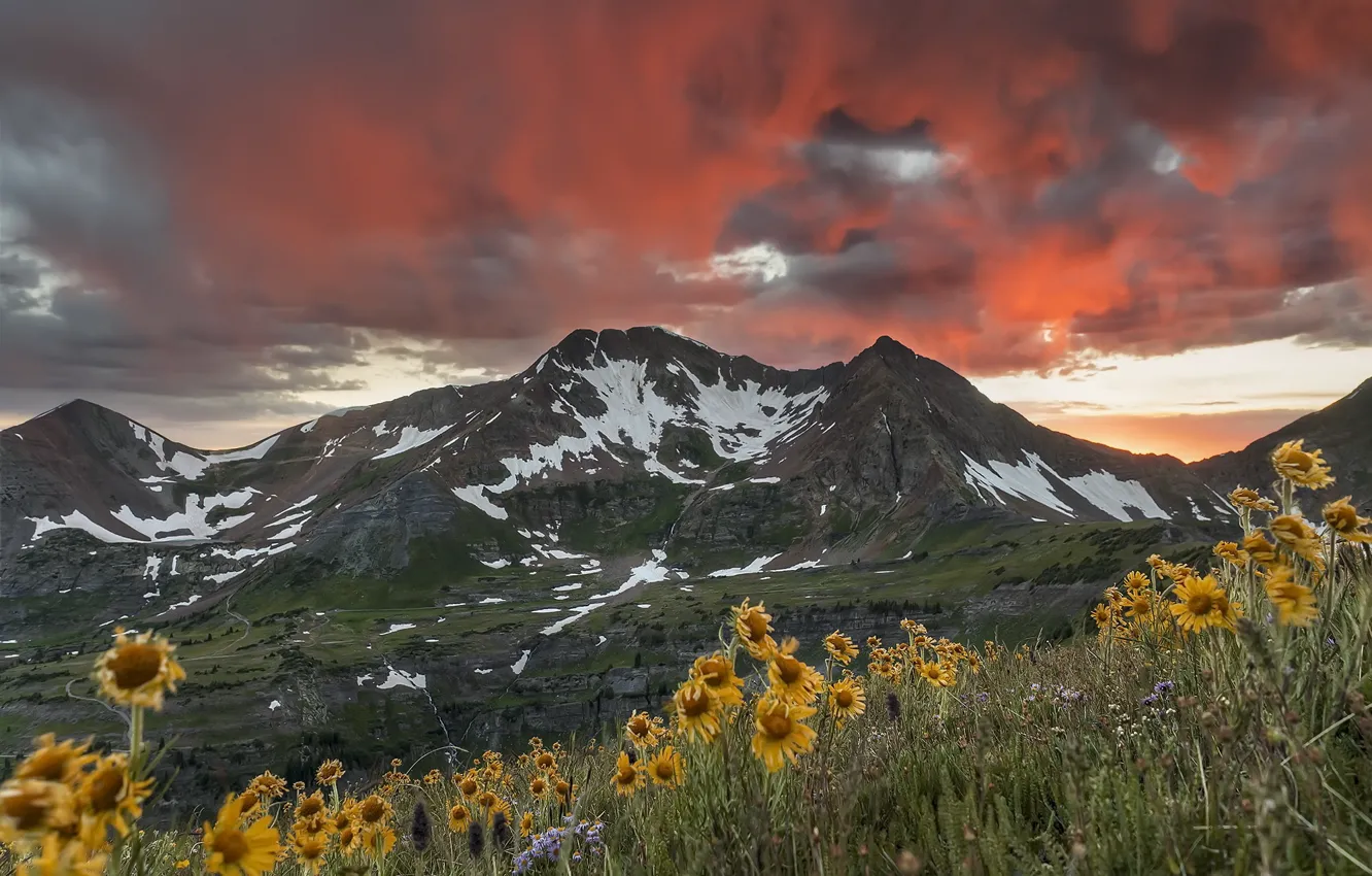 Photo wallpaper sunset, mountains, the sky.flowers