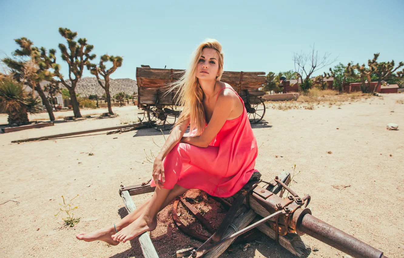 Photo wallpaper girl, pose, dress, blonde