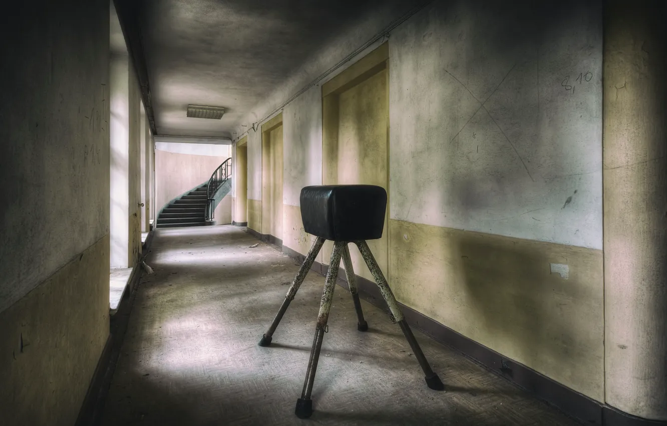 Photo wallpaper horse, sport, shell