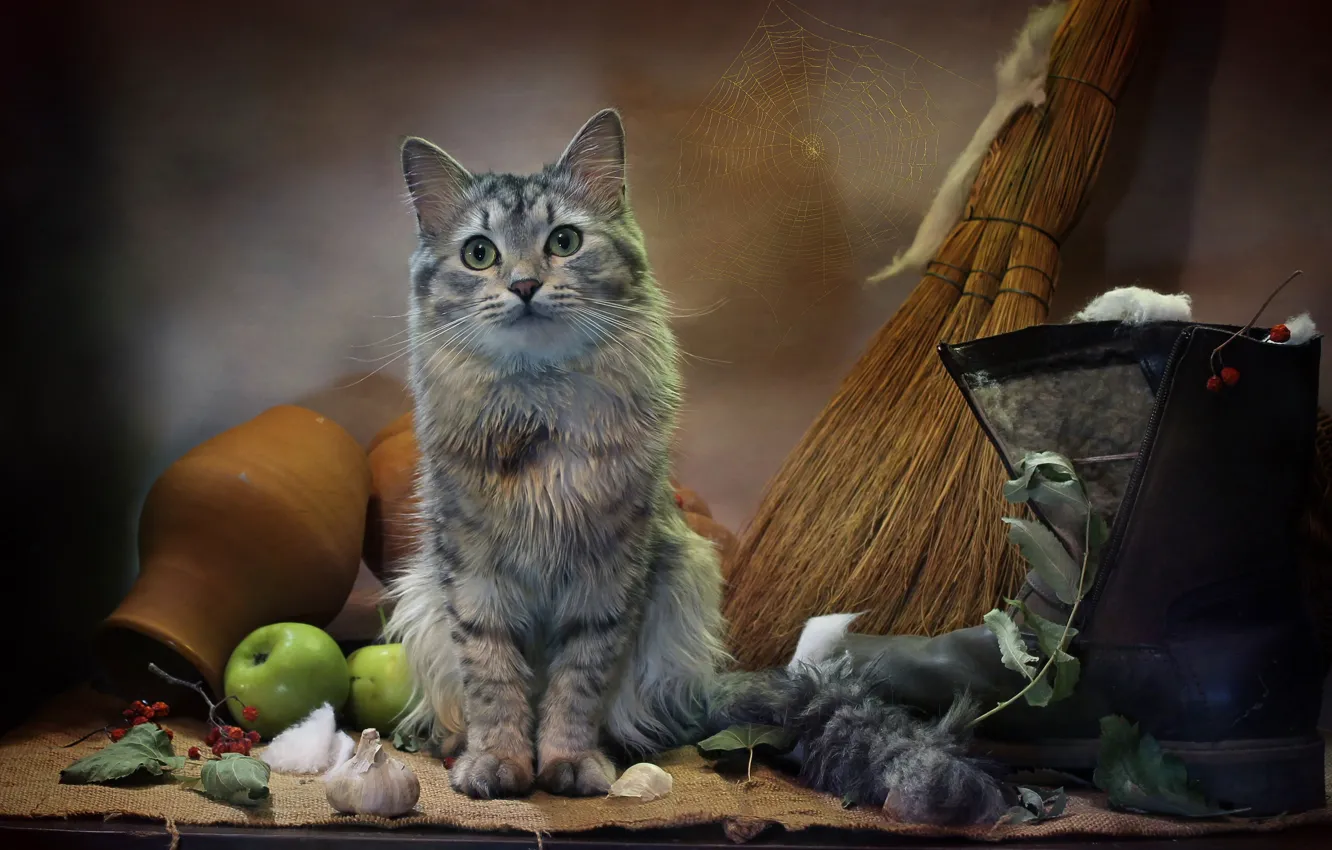 Photo wallpaper cat, cat, leaves, animal, apples, web, boots, burlap