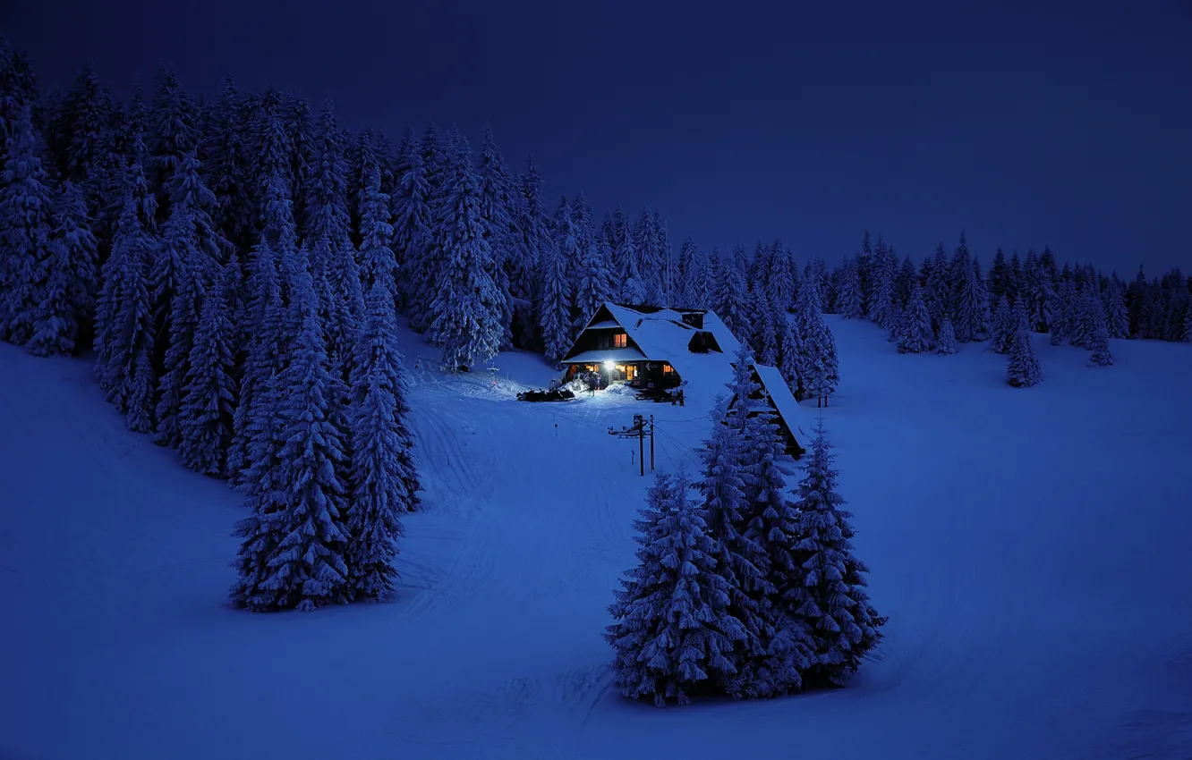 Photo wallpaper Winter, Mountains, Night, Forest, House