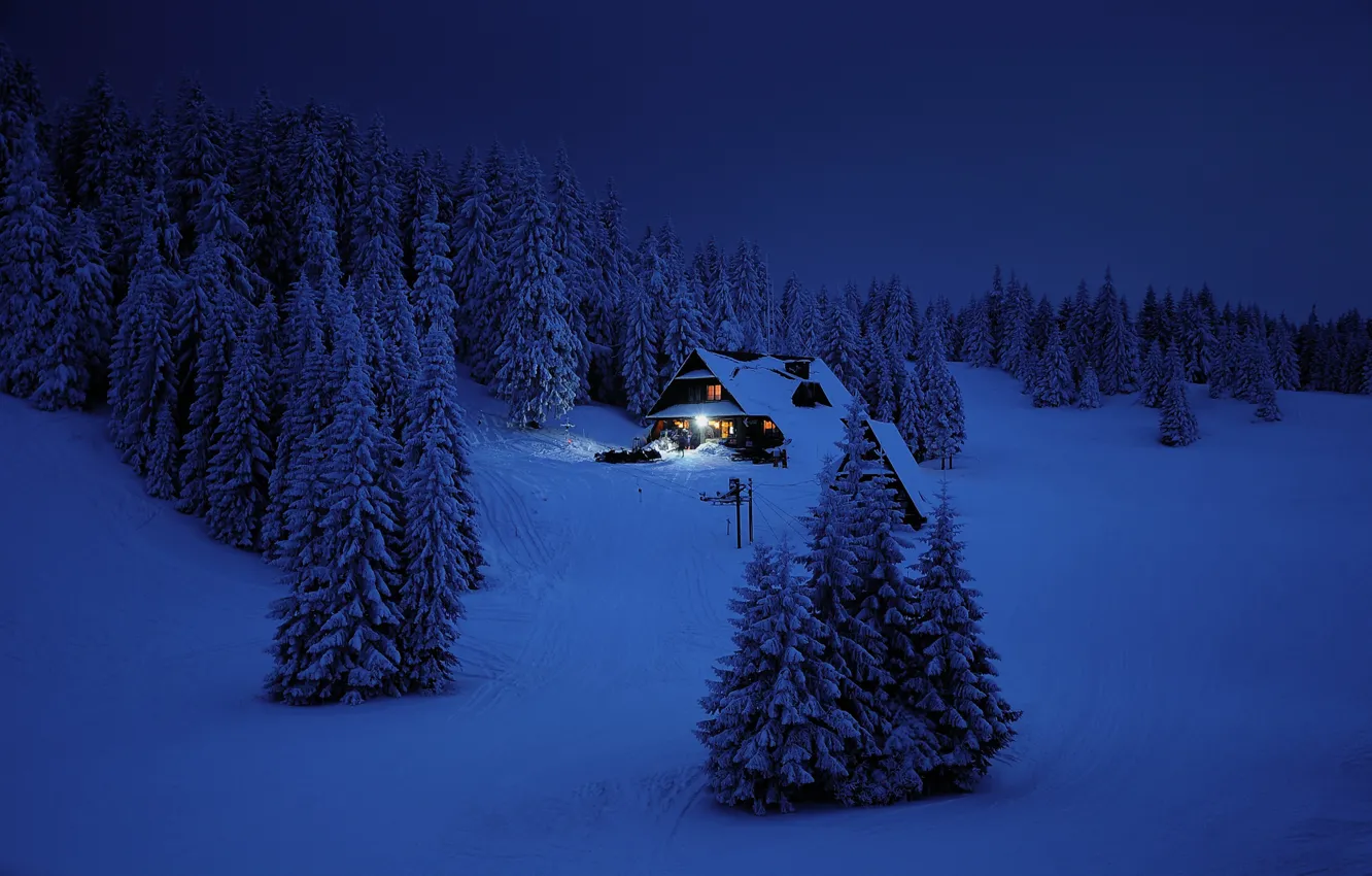 Photo wallpaper winter, forest, mountains, night, home