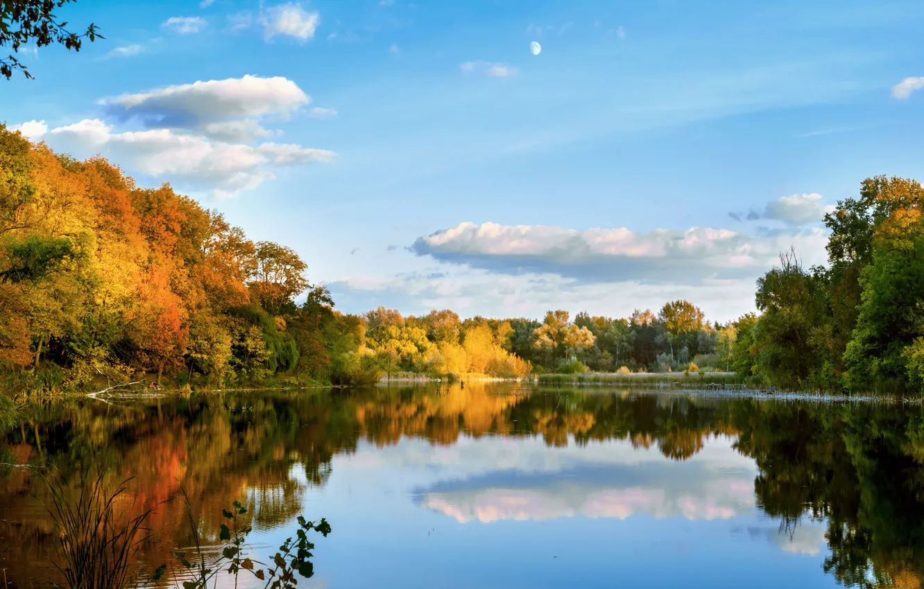 Photo wallpaper autumn, forest, lake