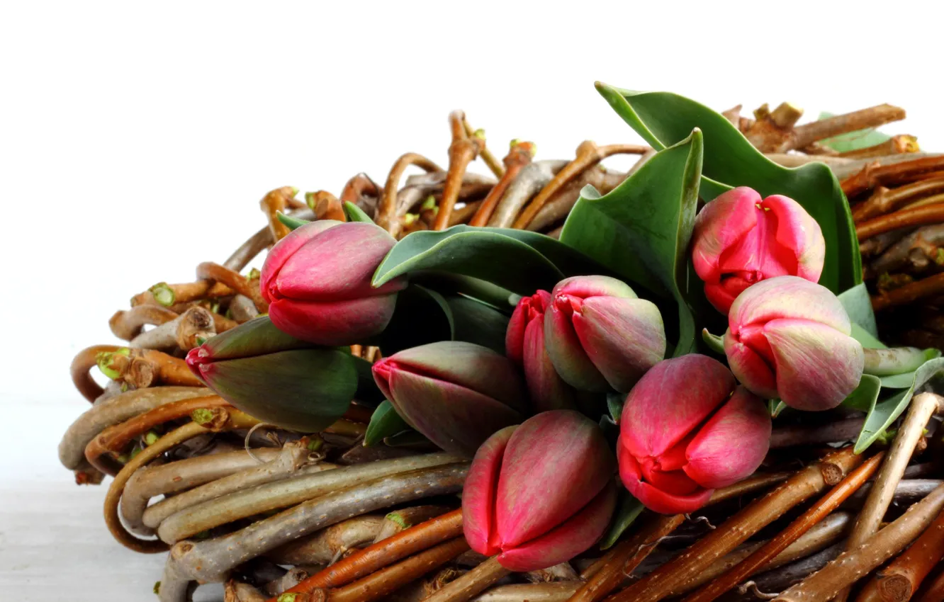 Photo wallpaper flowers, basket, tulips, buds