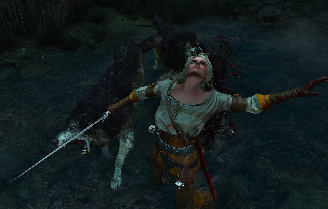 Photo wallpaper The Witcher, The Witcher, The Witcher 3 Wild Hunt, The Witcher 3 Wild Hunt, The …