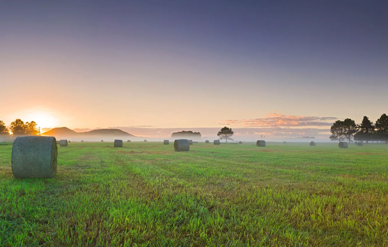 Photo wallpaper field, sunset, fog, morning, rolls