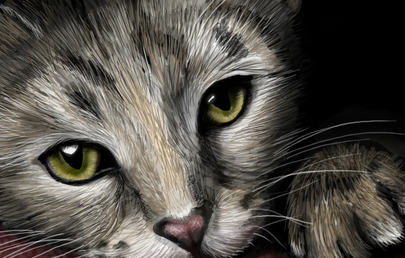 Photo wallpaper look, legs, muzzle, kitty, painting, ears, green eyes