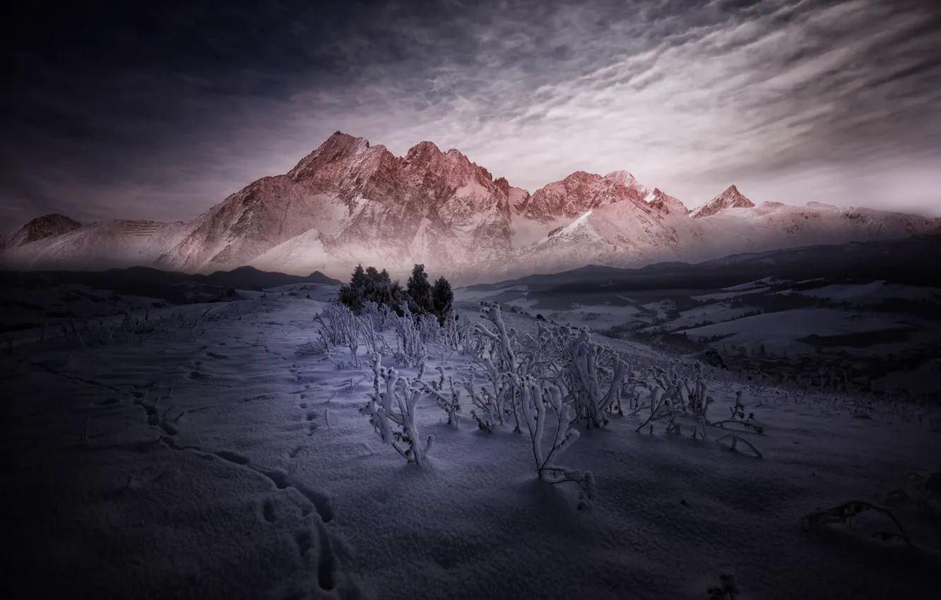 Photo wallpaper snow, mountains, traces