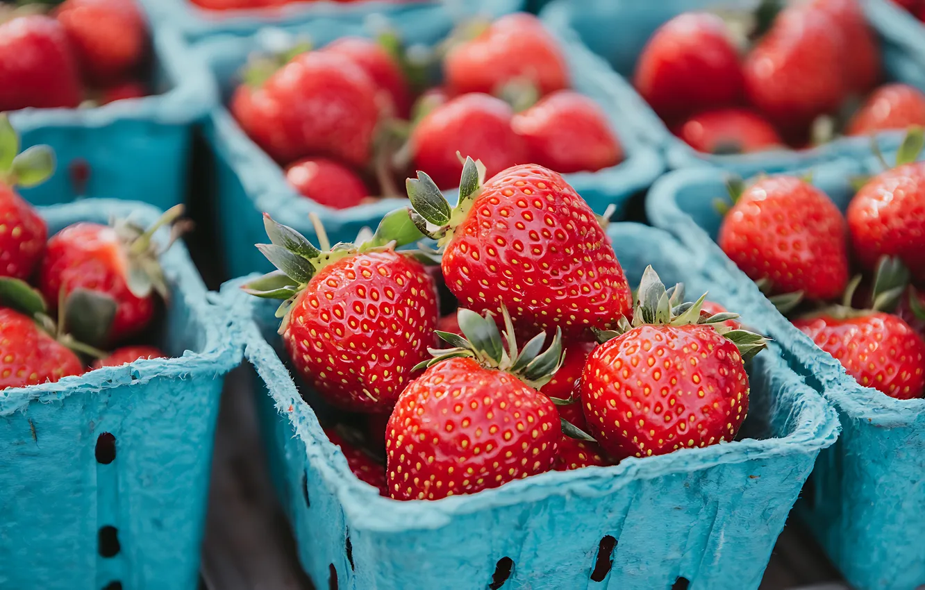 Photo wallpaper berries, harvest, strawberry, container, tray, AI art, neural network