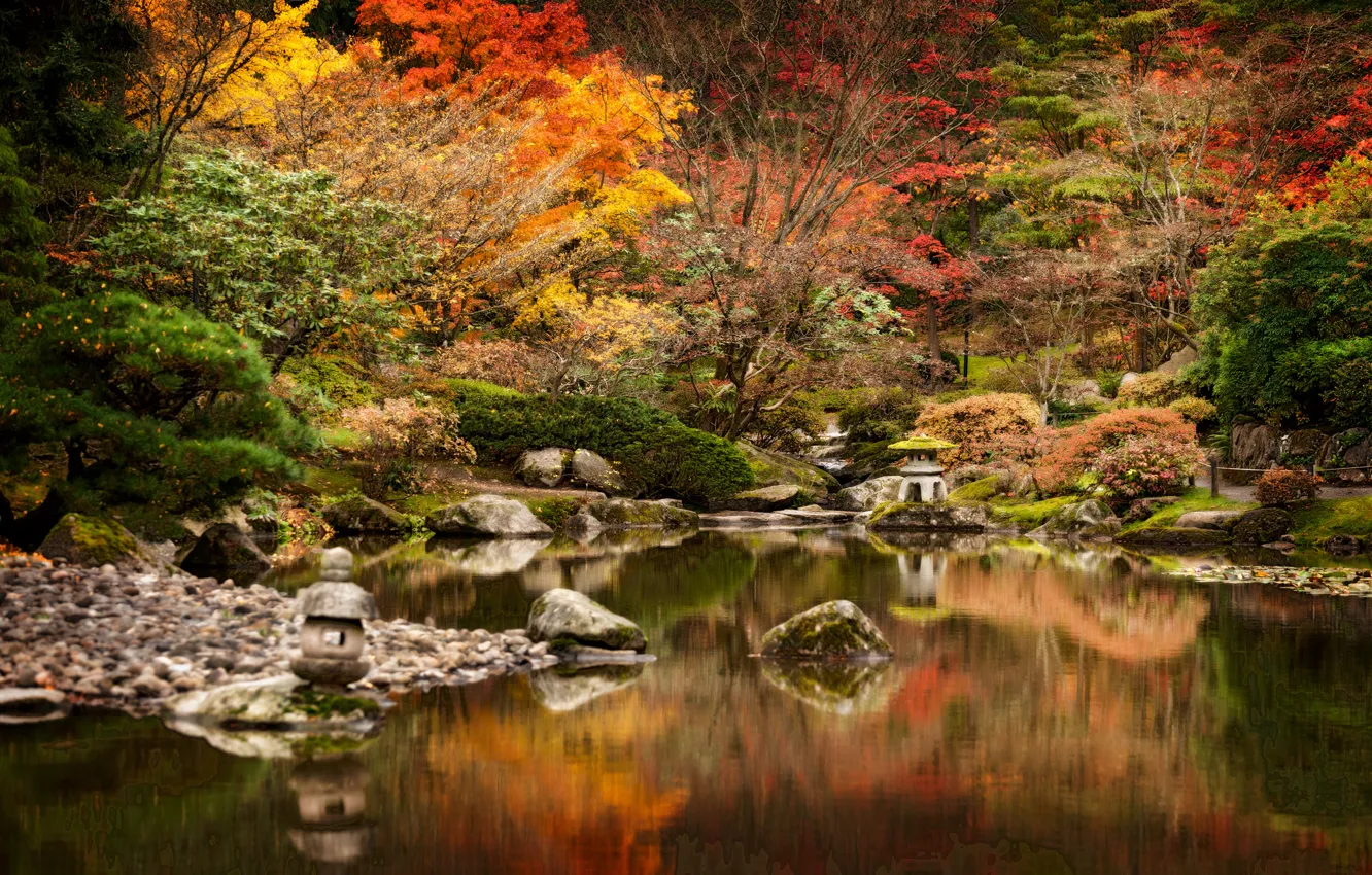 Photo wallpaper trees, autumn, lake