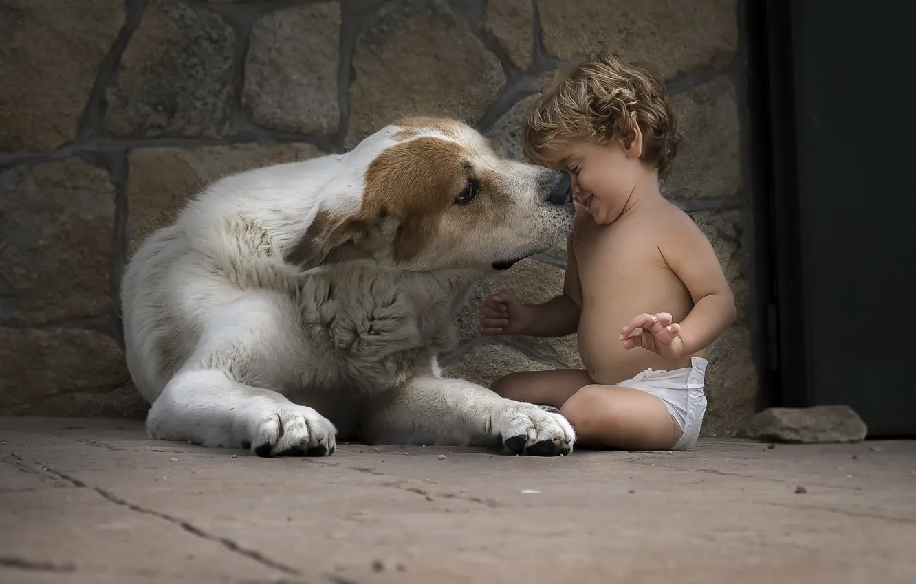 Photo wallpaper each, dog, boy