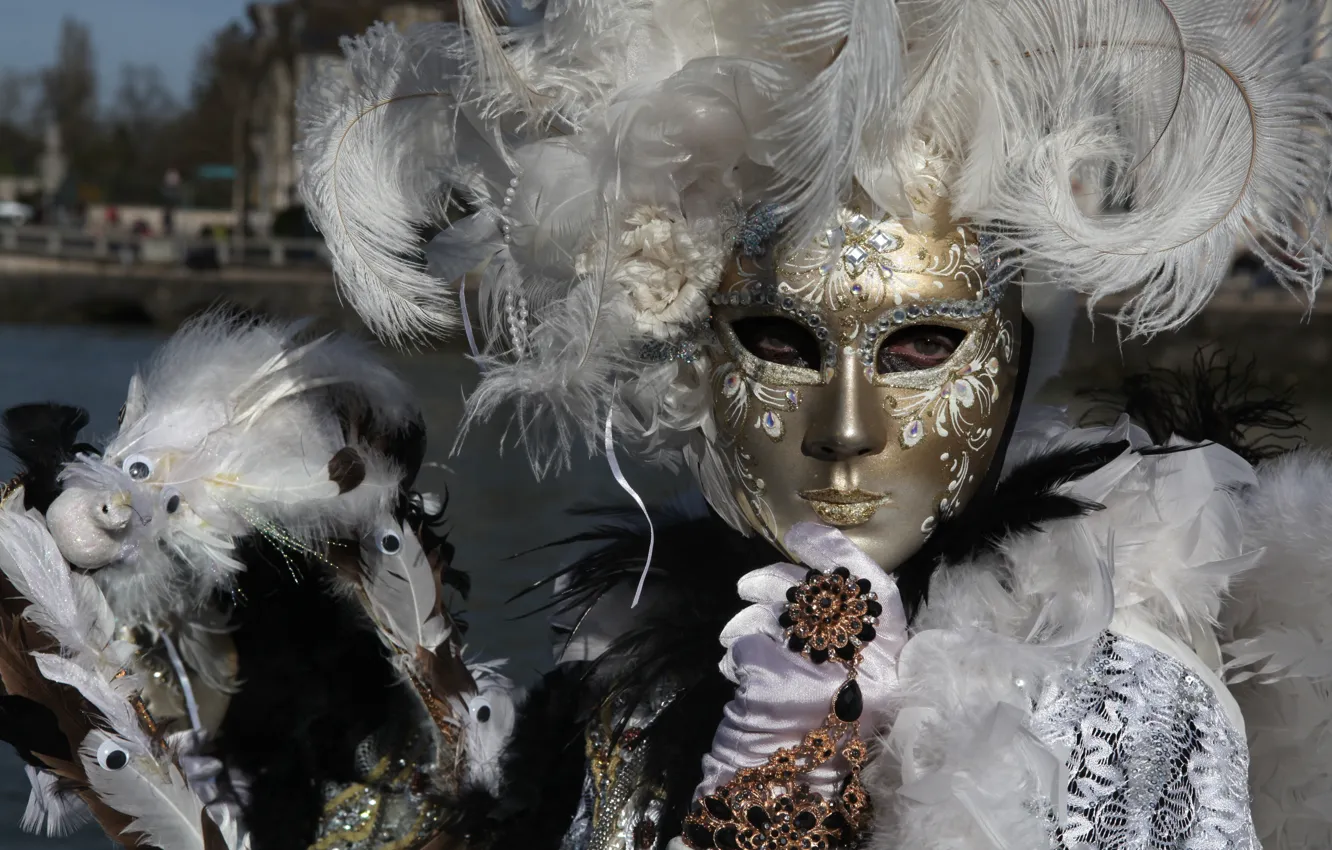 Photo wallpaper feathers, mask, Venice, carnival